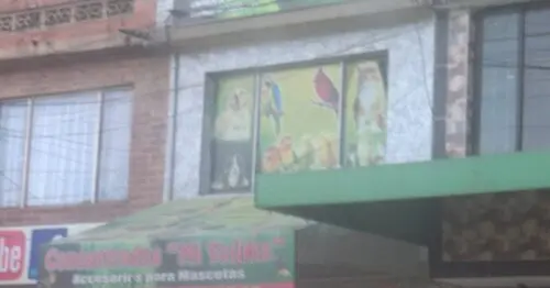 CONCENTRADOS MI TOLIMA CONCENTRADOS MI TOLIMA